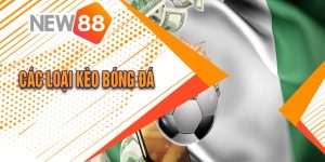 New88 -  Chia Sẻ Các Loại Kèo Bóng Đá Phổ Biến Nhất 2024