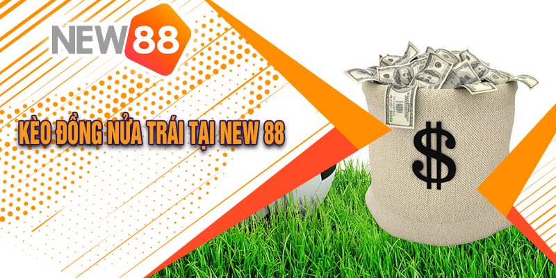 kèo đồng nửa trái tại New 88